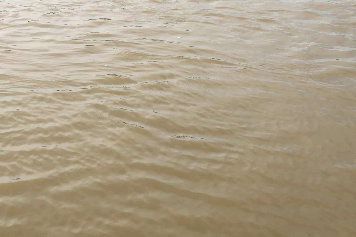 Ao nuôi bị đục nước